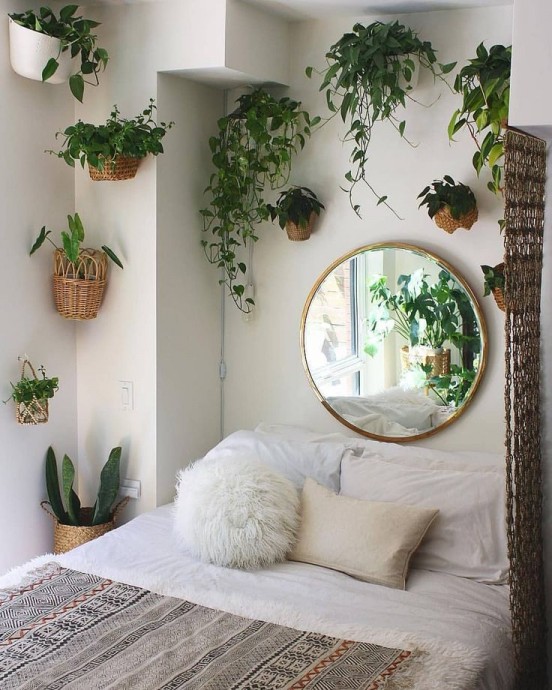 9 лучших комнатных растений для спальни