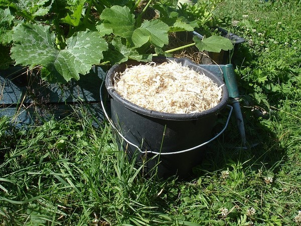 ​Множество способов использования опилок на даче