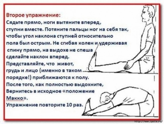 Секретная японская гимнастика Макко-хо для здоровья тела и молодости духа Секретная японская гимнастика Макко-хо для здоровья тела и молодости духа