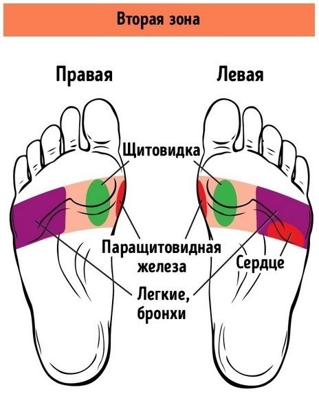 ​21 точка на стопах, массаж которых улучшает самочувствие 2