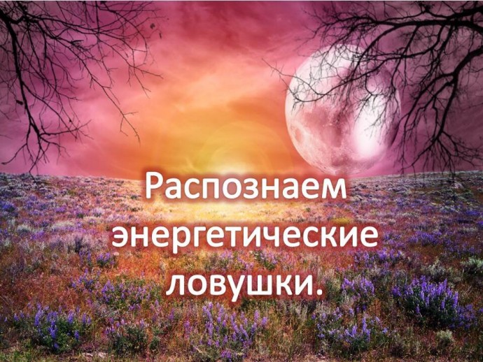 3 энергетические "ловушки", которые поджидают человека почти каждый день 3 энергетические "ловушки", которые поджидают человека почти каждый день