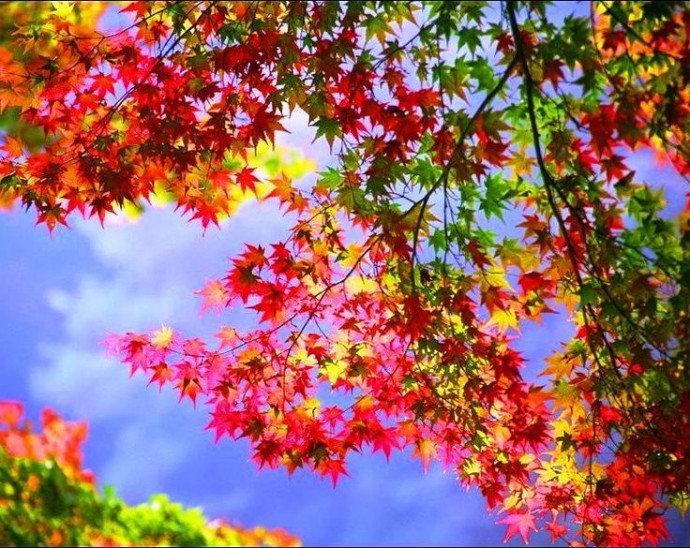 Чем хорош сентябрь Чем хорош сентябрь