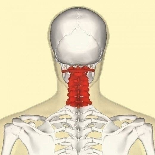 ​Что стоит знать о связи гипертонии и остеохондроза шейного отдела позвоночника