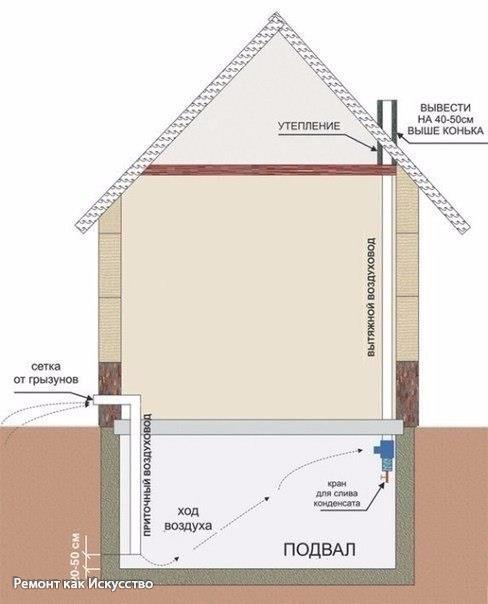 Как провести вентиляцию в подвале