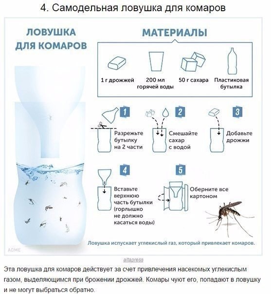 ​10 способов борьбы с комарами и их укусами