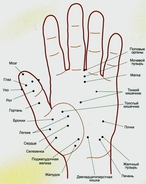 ​Волшебные точки на теле человека