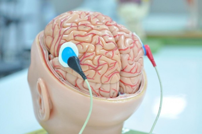 14 стимуляторов для мозга, которые работают лучше кофе 14 стимуляторов для мозга, которые работают лучше кофе