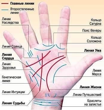 ​Профессия на ладони