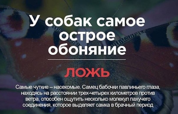 Для тех, кто хочет знать правду