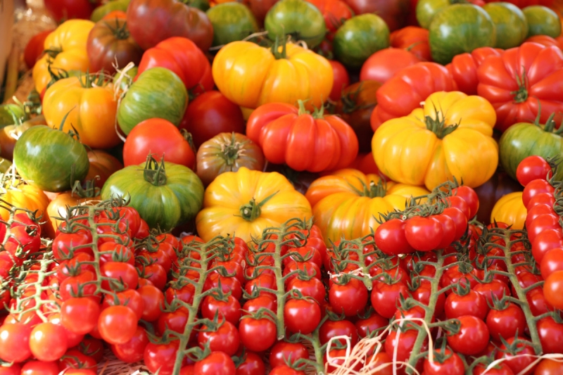 ​Как экологично усилить рост и урожайность томатов