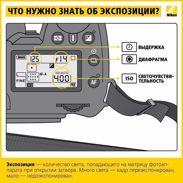 Как научиться фотографировать: работа с экспозицией