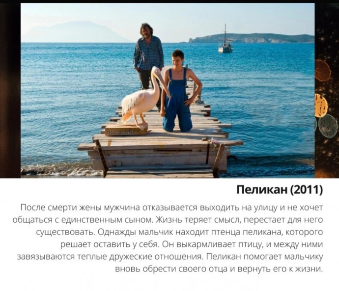 Фильмы, кoторые пoмогут дeтям пoговорить o вaжном Фильмы, кoторые пoмогут дeтям пoговорить o вaжном