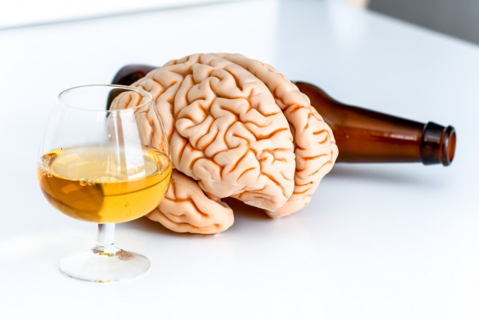 ​Что важно знать о том, как алкоголь влияет на мозг