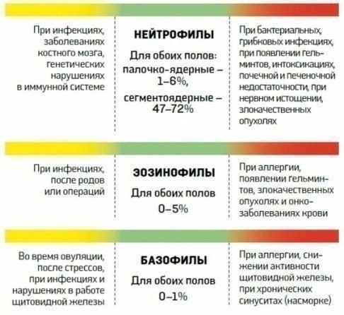 О чем расскажет анализ крови