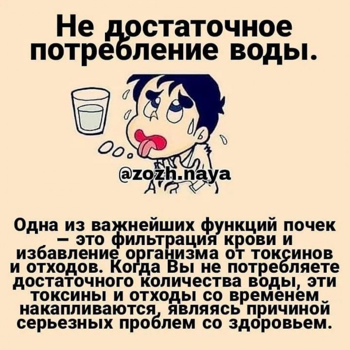 Привычки, которые вредят почкам