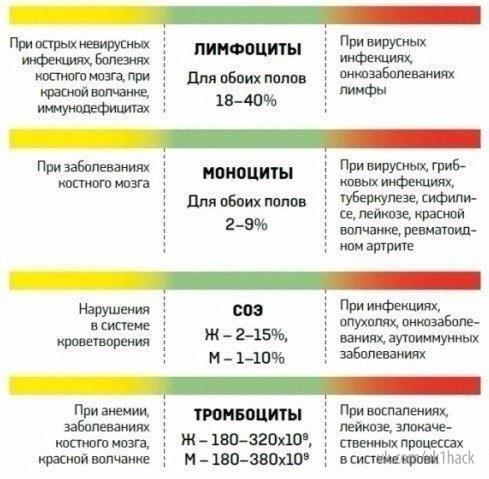 Расшифровываем анализы крови