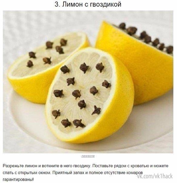 ​Как бороться с комариными укусами как предотвращать их