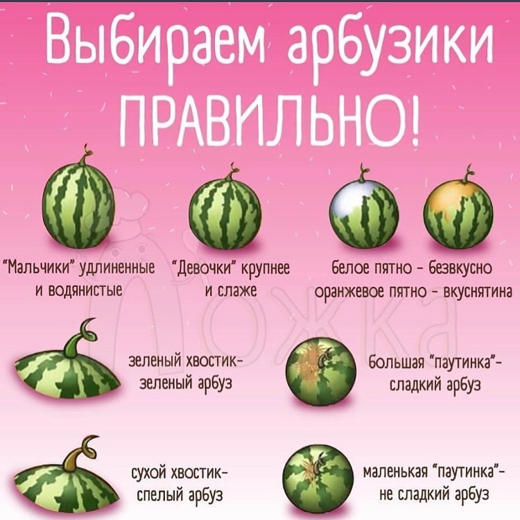 Как выбрать хороший арбуз: готовимся к арбузному сезону