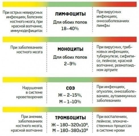 О чем расскажет анализ крови