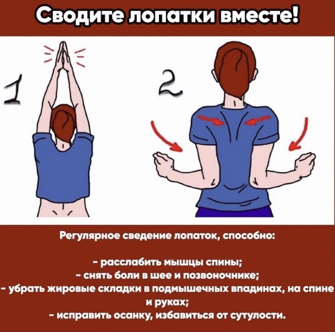 Сводите лопатки вместе Сводите лопатки вместе