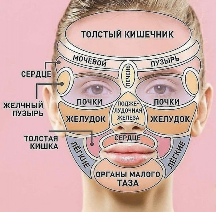 Почему высыпания на лице говорят о проблемах с органами