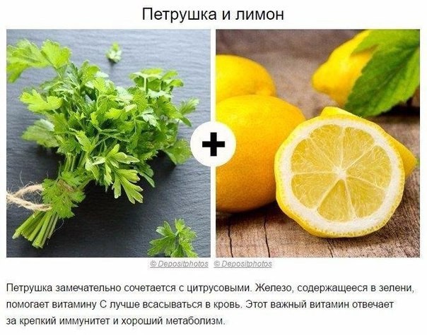 Продукты, которые максимально полезны при совместном приеме