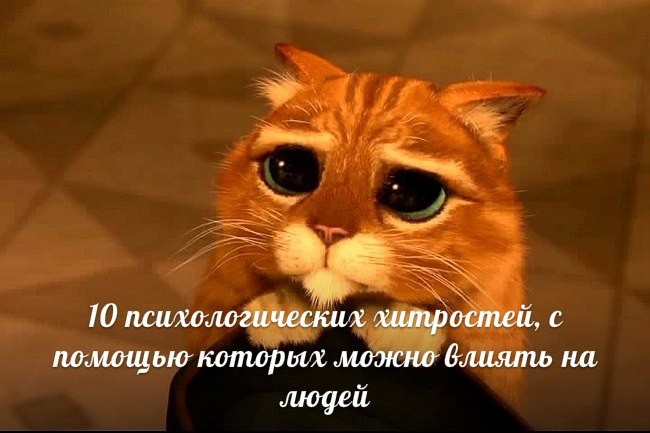 ​10 психологических хитростей, с помощью которых можно влиять на людей