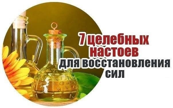 ​7 целебных настоев для восстановления сил