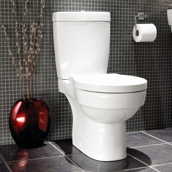 4 простых способа поддержания туалета в чистоте