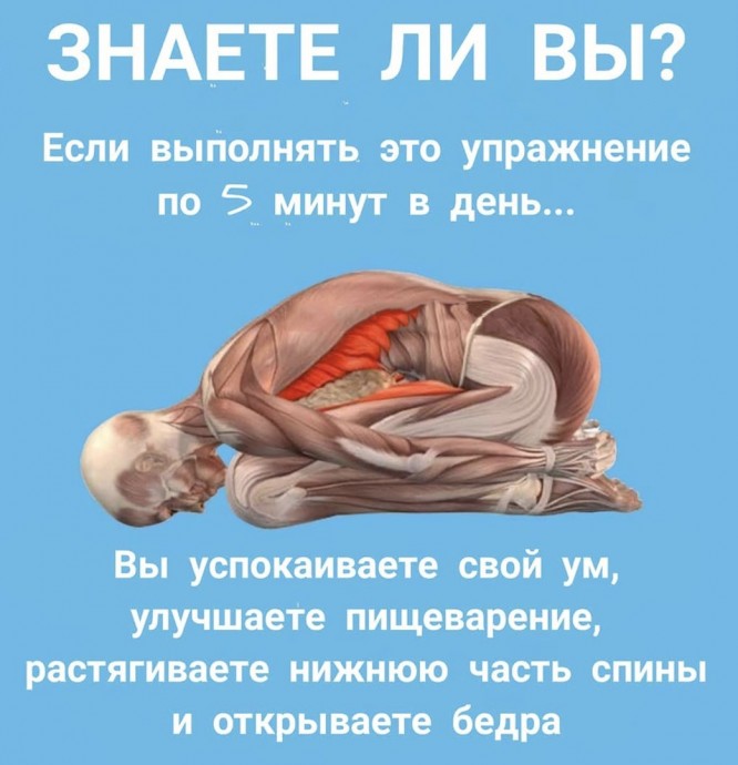 Какое упражнение за 5 минут в день улучшает пищеварение и растягивает нижнюю часть спины