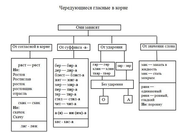 Освежаем в памяти главные правила русского языка
