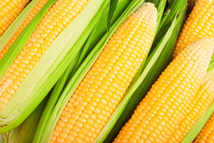 Плесните прямо в кастрюлю: початки кукурузы будут в миллион раз мягче и вкуснее