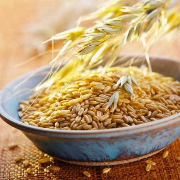 Овёс как эликсир жизни Овёс как эликсир жизни