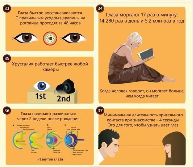 Что стоит знать про глаза