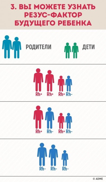 Почему нужно знать группу крови всех членов семьи