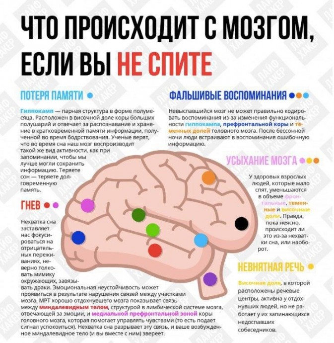 Что происходит с мозгом, если вы не спите