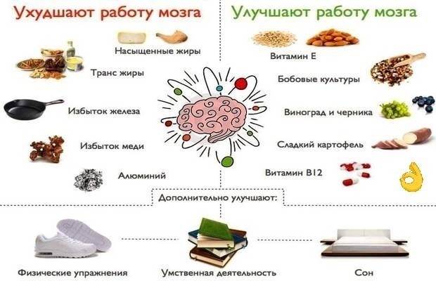 ​Какие продукты вредны для работы мозга