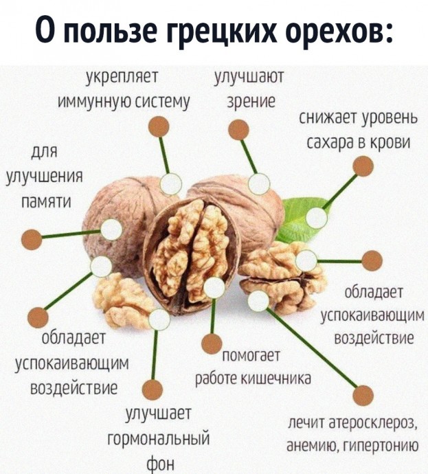 Почему полезно есть грецкие орехи постоянно