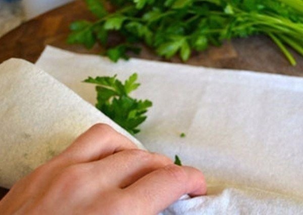 ​Все секреты длительного хранения зелени