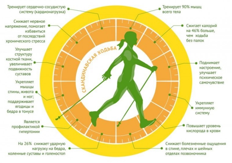 Почему стоит заняться скандинавской ходьбой