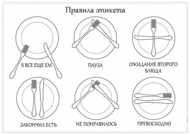 Правила столового этикета и не только