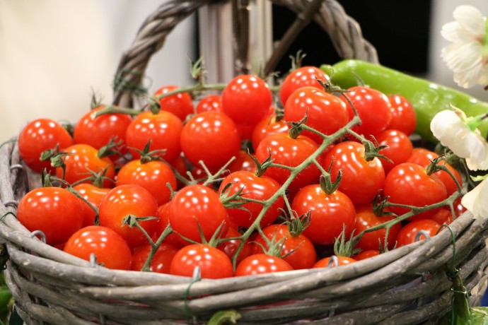 Секреты обильного урожая томатов