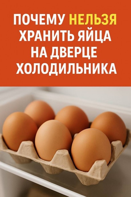 Почему яйца нельзя хранить на дверце холодильника Почему яйца нельзя хранить на дверце холодильника