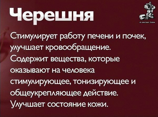 Чем полезны разные продукты