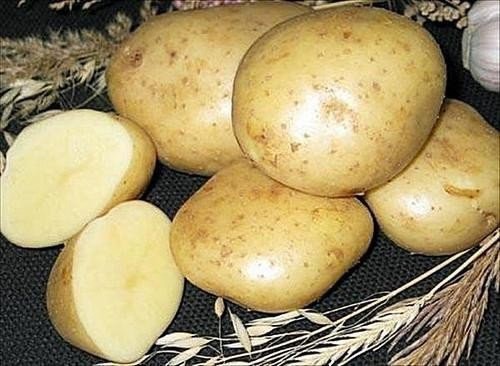​Лечение картофелем