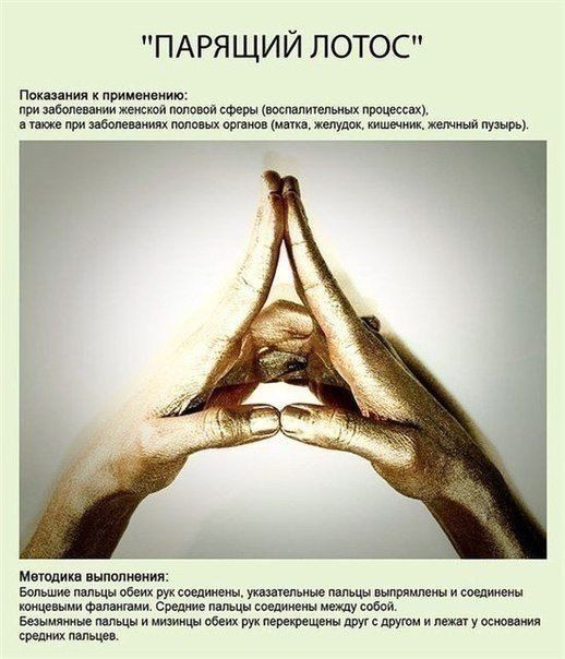 Профилактика сохранения здоровья при помощи простых упражнений рук Профилактика сохранения здоровья при помощи простых упражнений рук