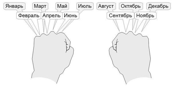 Как не путаться с количеством дней в месяцах