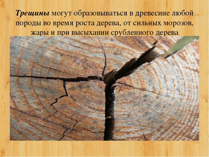 Почему возникает растрескивание древесины и как с этим бороться Почему возникает растрескивание древесины и как с этим бороться