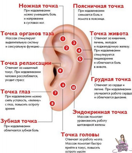 ​Важные точки для точечного массажа