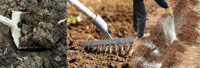 Как правильно обрабатывать землю в марте Как правильно обрабатывать землю в марте